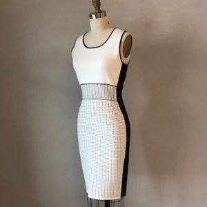 Etcetera Contour Knit Dress